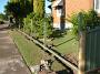 newfenceII 008